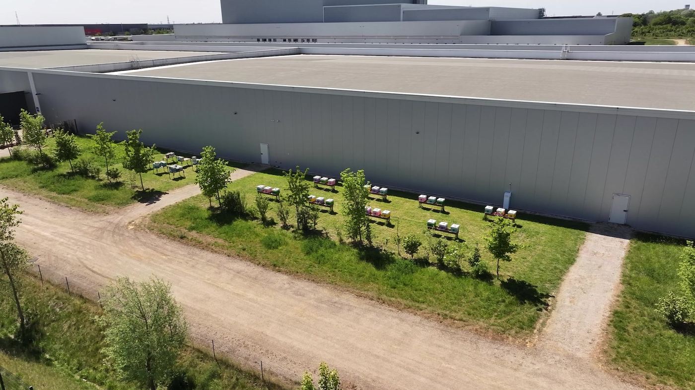 Vue aérienne du rucher partenaire